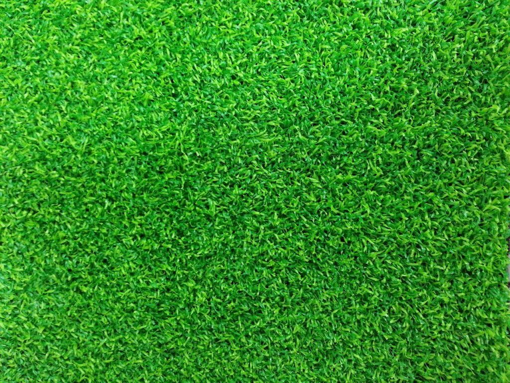 景觀草皮 A 款