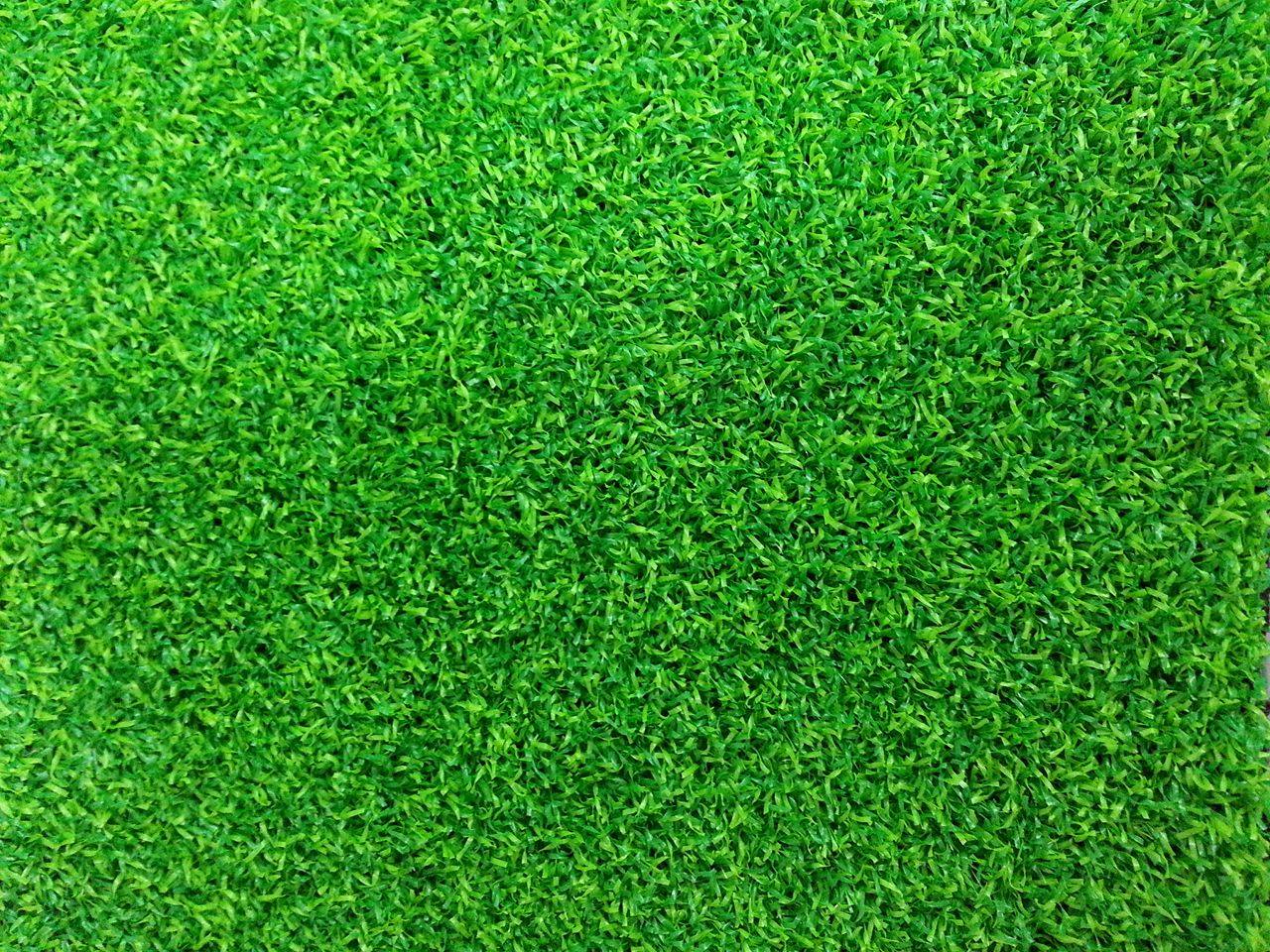 景觀草皮 A 款