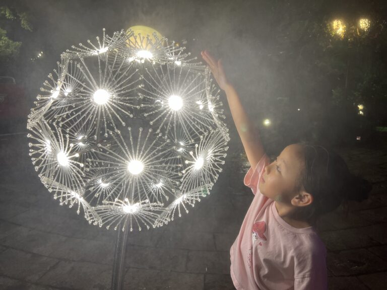 LED 造霧蒲公英燈具