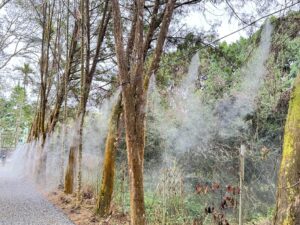水霧牆能把臭氣及粉塵隔離在範圍之外