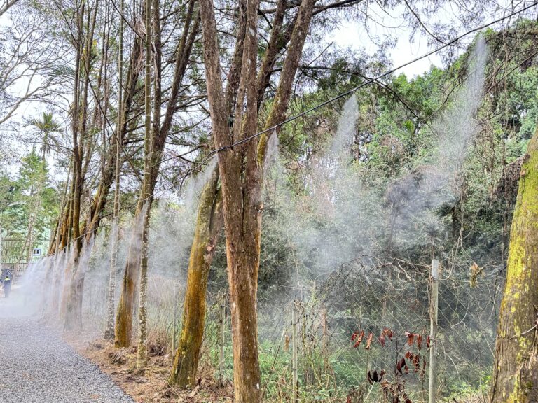 83978AB7-6F06-4D44-9D8B-119AD5DB8AE6